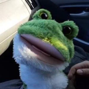 Meet your Posher, Amber